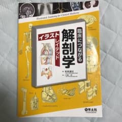 臨床につながる解剖学イラストレイテッドのサムネイル