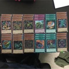 遊戯王 捕食植物 デッキパーツのサムネイル