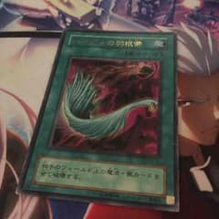 ハーピィの羽根箒のサムネイル
