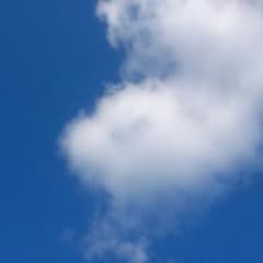 NIKEのサムネイル