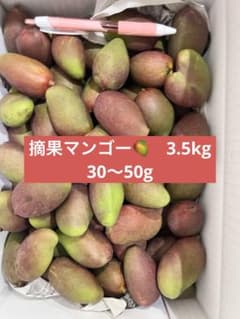 摘果マンゴー 3.5kg - メルカリ