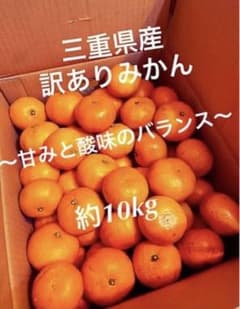 おばあちゃんのみかん〜10kg送料込です〜のサムネイル