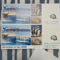 新江ノ島水族館　ご招待券２枚のサムネイル