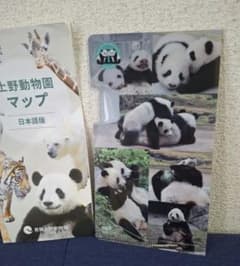シャオシャオ レイレイ⭐マルチケース⭐ノベルティ⭐上野動物園 - メルカリ