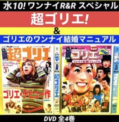 水10! ワンナイR&R スペシャル 超ゴリエ!＋ゴリエのワンナイ結婚
