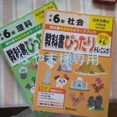 教科書ぴったりトレーニング社会小学6年 日本文教版のサムネイル