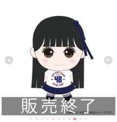 n*a様 AKB48 ぬいぐるみキーホルダー 八木愛月 - メルカリ