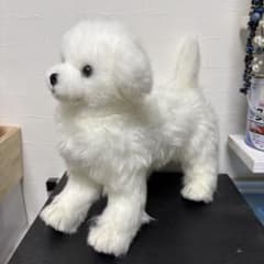 【 希少 】 小峰玩具製作所 ダンゴムシ アルビノ 白色 置き型 ぬいぐるみ 希少 】 小峰玩具製作所 ダンゴムシ アルビノ 白色 置き型 ぬいぐるみ