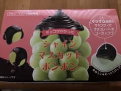 チョコがかかった　シャインマスカットボンボンのサムネイル