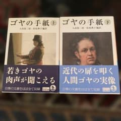 ゴヤの手紙 上下巻セット 岩波文庫のサムネイル