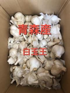 青森産 白玉王 にんにく 格安のサムネイル