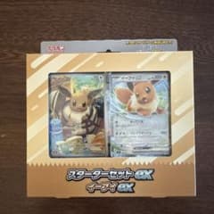 【最安値】ポケモンカードゲーム スターターセットex イーブイex arのサムネイル