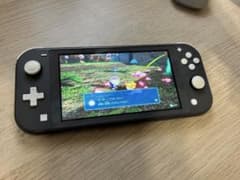 Nintendo Switch Lite 本体 グレーのサムネイル