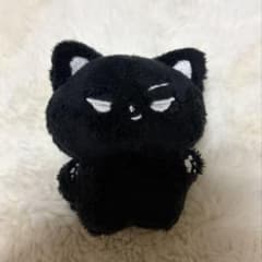 ENHYPEN ジェイ 黒猫 ぬいぐるみ マスコットのサムネイル