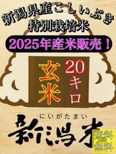 玄米20キロ【農家直送！】新潟県産こしいぶき　特別栽培米　7年産　低温冷蔵のサムネイル