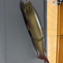 スライドスイマー250のサムネイル