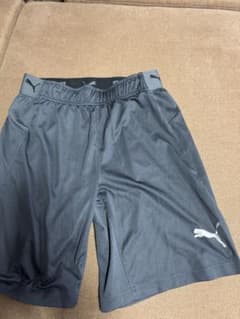 PUMA DRY CELL ハーフパンツ グレー