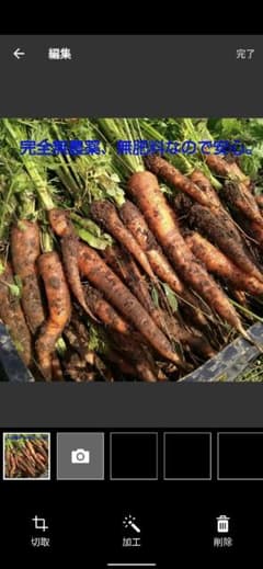 自然栽培　人参　B品込　10キロ　無農薬　無肥料のサムネイル