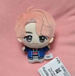 BTS TinyTAN DNA 치비구루미 남준