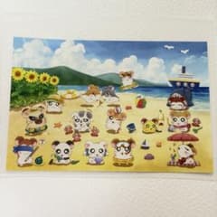 とっとこハムタウンショップ ポストカード うみのサムネイル