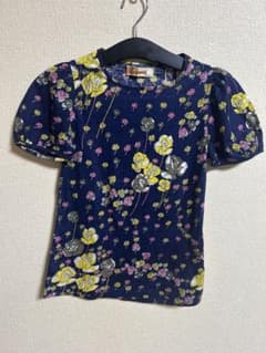 昭和レトロ　Beautiful Dreamer 花柄 パフスリーブ カットソー