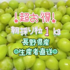 1キロ粒★長野県産☺︎︎生産者直送☺︎︎シャインマスカットのサムネイル