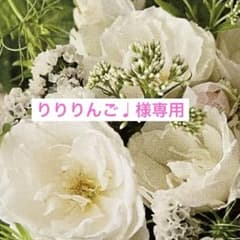 りりりんご♪ レジンネックレス 2点セット りりりんご♪様専用 レジンネックレス 2点セット - メルカリ