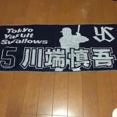 東京ヤクルトスワローズのサムネイル