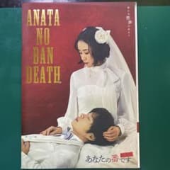 あなたの番です 劇場版 映画パンフレット 田中圭 原田知世 横浜流星