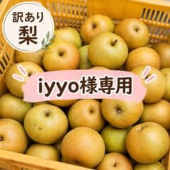 iyyyo様専用 訳あり 長野県産 梨のサムネイル