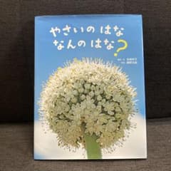 やさいのはな なんのはな？ 絵本 岩崎書店のサムネイル
