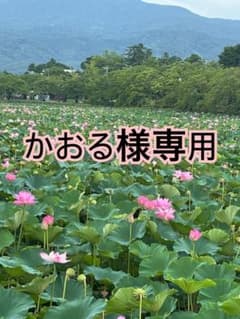 【未開封】SHIPS any シップス　ボアフリースブルゾン　ボアジャケットのサムネイル