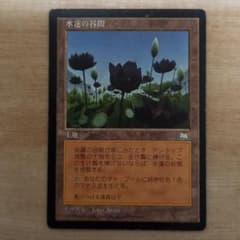 マジックザギャザリング　水蓮の谷間のサムネイル