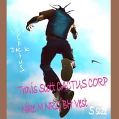 Nike × Travis scott Cuctus jack ベストのサムネイル