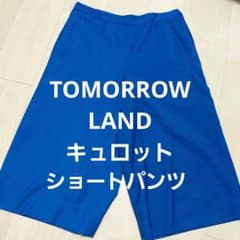 TOMORROW LAND 裏地ありハーフパンツ 38のサムネイル