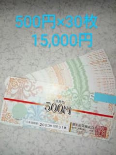 お食事券 康正産業各店 30枚×500円 15000円分 2023年10/31迄 - メルカリ