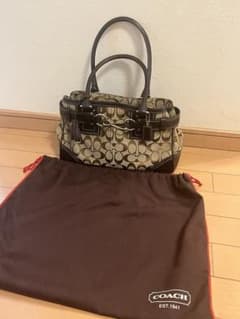 ☆正規品☆coach ハンドバッグ 10245 シグネチャー 茶 - メルカリ
