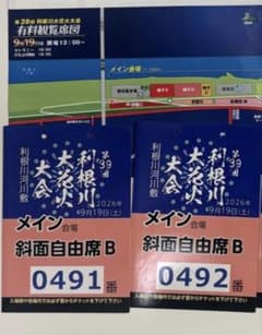 第39回 利根川大花火大会 チケット 斜面自由B席 2枚セット 境町のサムネイル