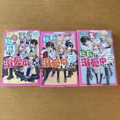 総長さま、溺愛中につき - 4