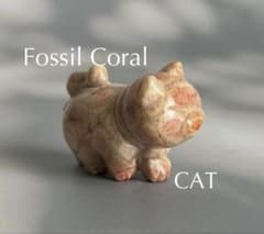 高品質 珊瑚 フォッシルコーラル ねこ ネコ 猫 キャットのサムネイル