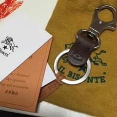 IL BISONTEのサムネイル