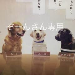 ぞーんさん専用ですのサムネイル