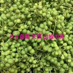 八ヶ岳産 天然 山椒の実 200ｇのサムネイル