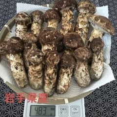 岩手県産 松茸のサムネイル