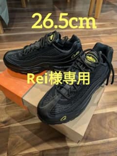 CORTEIZ × NIKE AIR MAX 95 26.5㎝　付属品完備のサムネイル