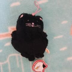 でぶねこのサムネイル