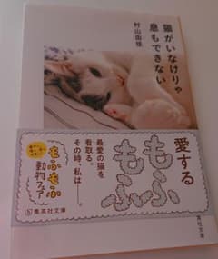 猫がいなけりゃ息もできないのサムネイル
