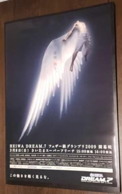 DREAM.7 ポスター(B2)のサムネイル