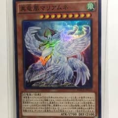 真竜凰マリアムネのサムネイル