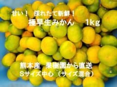[最終値下げ10/22]熊本県産 極早生みかん1kg Sサイズ12個 (個食用)のサムネイル